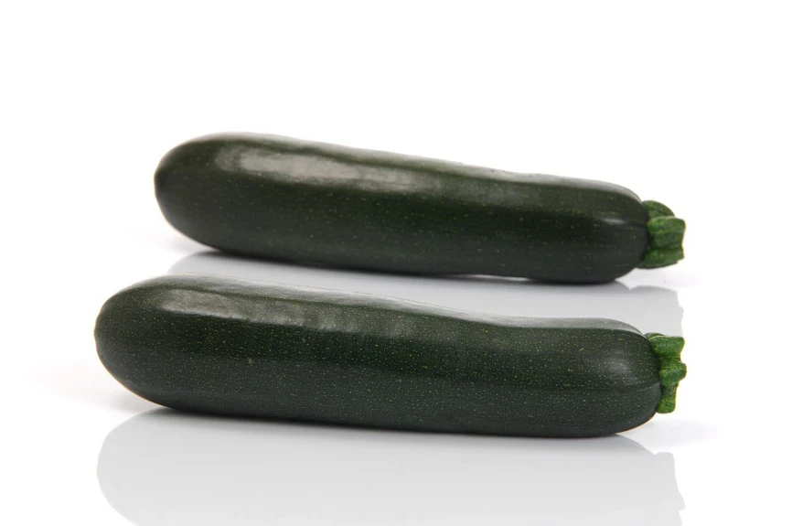 SQ 11009 F1 / SQ 11009 F1 фото 2