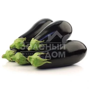 Диксиленд (INX 828) F1 / Diksiland (INX 828) F1,55-60 дней фото 1