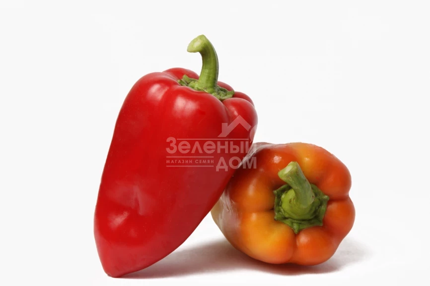 Арбалет F1 / Arbalet F1, 70-75 дней фото 1