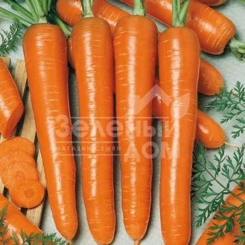 Маркетт / Markett,90-100 дней фото 1