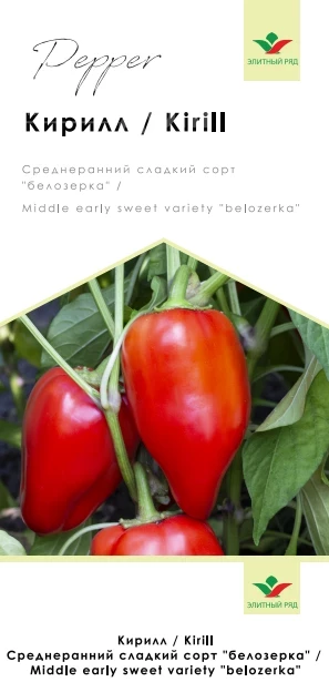 Кирилл / Kirill, 110 дней фото 1