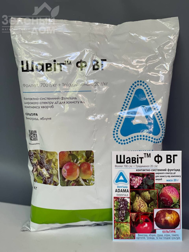 Шавіт Ф / Shavit F, ВГ фото 1