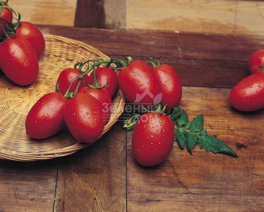 Рио Гранде / Rio Grande,80-90 дней фото 1