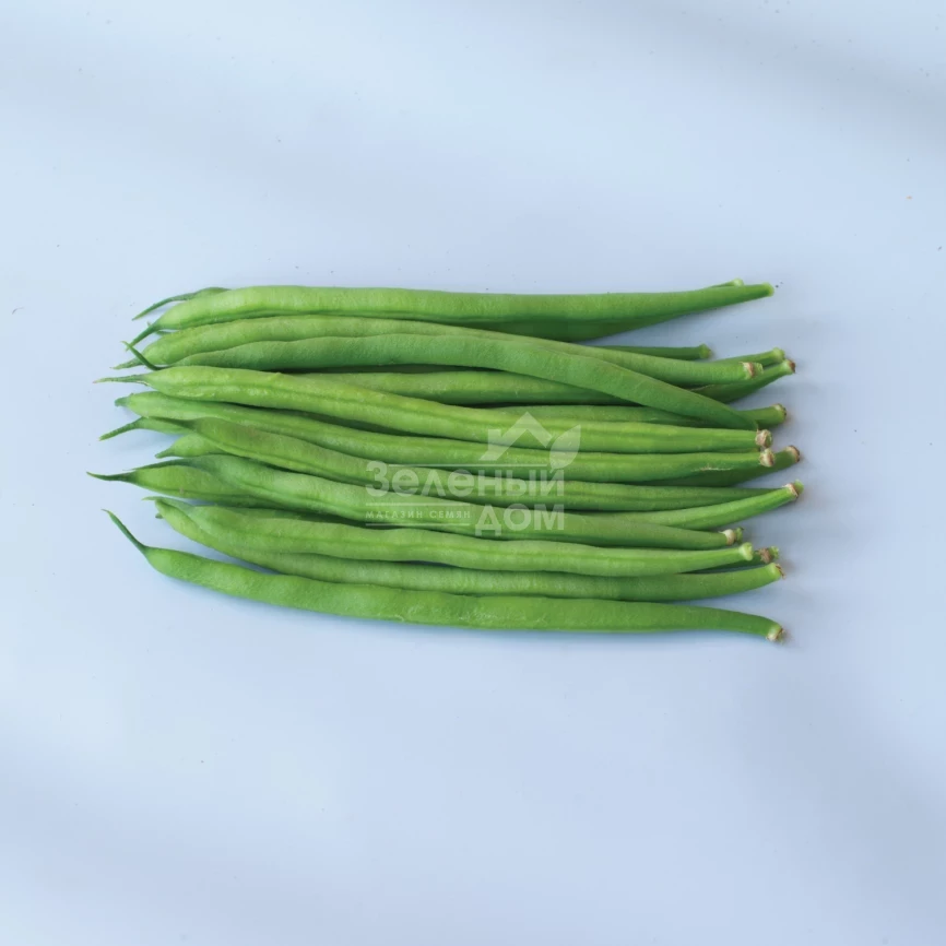 Вальверде / Valverde,70 дней фото 1