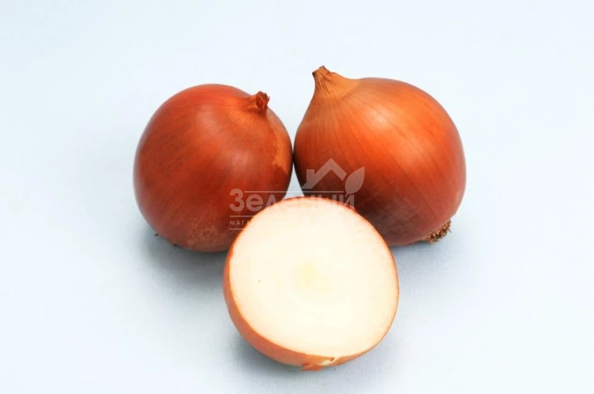 Сталкер F1 / Stalker F1 (Премиум) фото 1