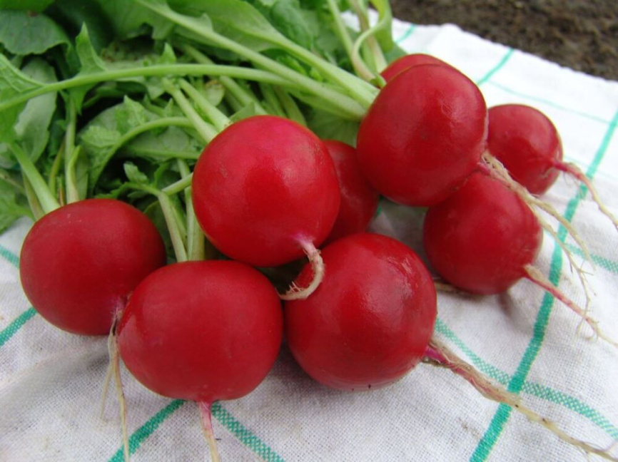 Естер / Esther,31-34 дні фото 1