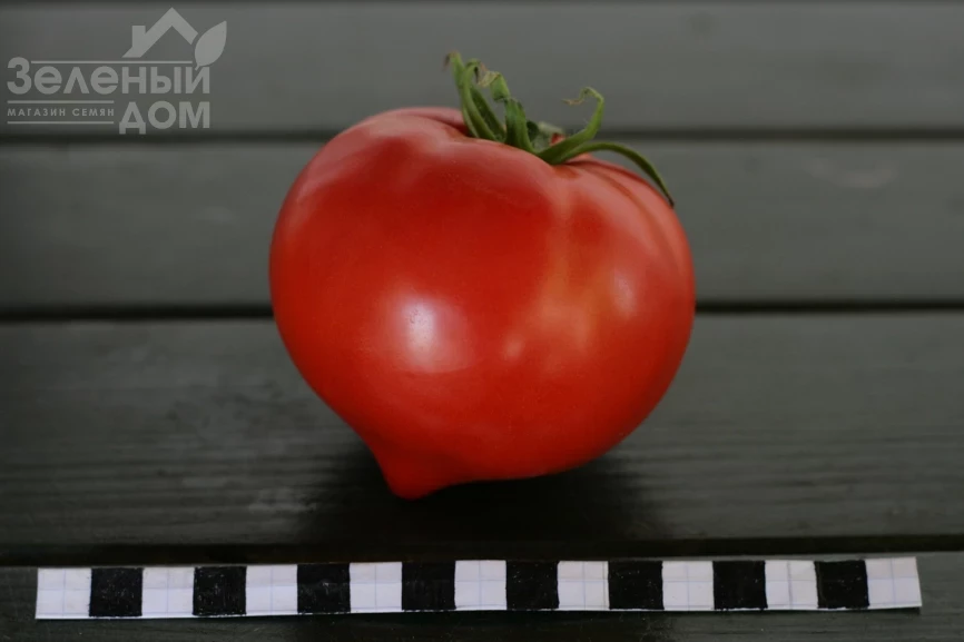 Амадин F1  / Amadin F1 фото 1