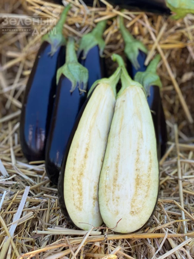 Брат F1 / Brat F1 фото 2