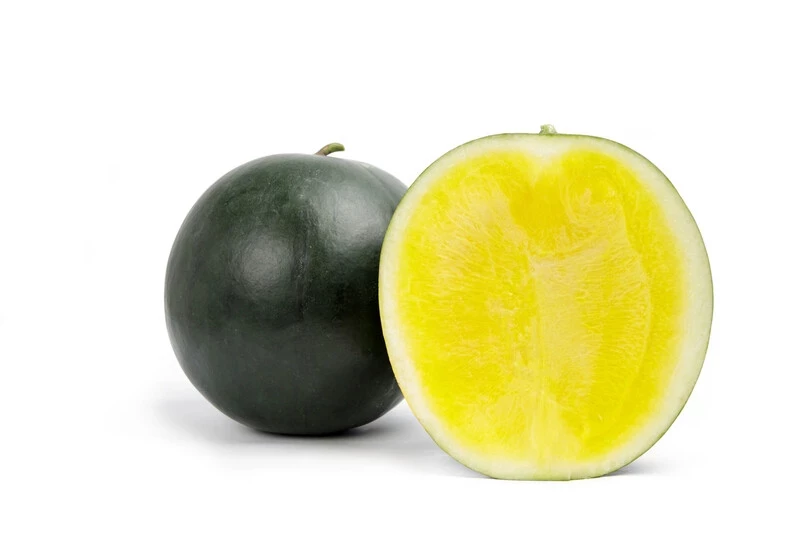 Тропикал Саншайн F1 / Tropical Sunshine F1, 62-65 дней фото 2