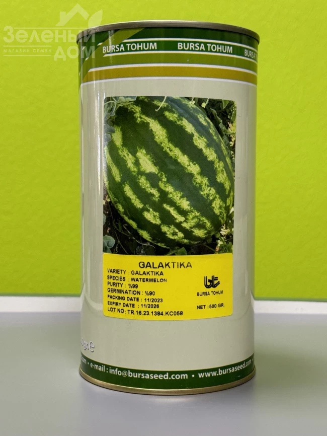 Галактика / Galaktika,63-65 дней фото 2