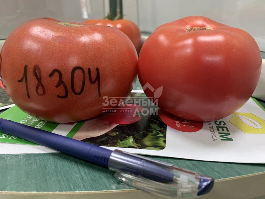 Розетт (ТЛ 18304) F1 / Rosett (TL 18304) F1 фото 1