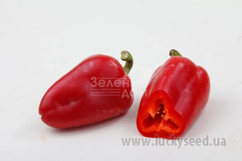 Монолит F1 / Monolit F1,75-80 дней фото 2