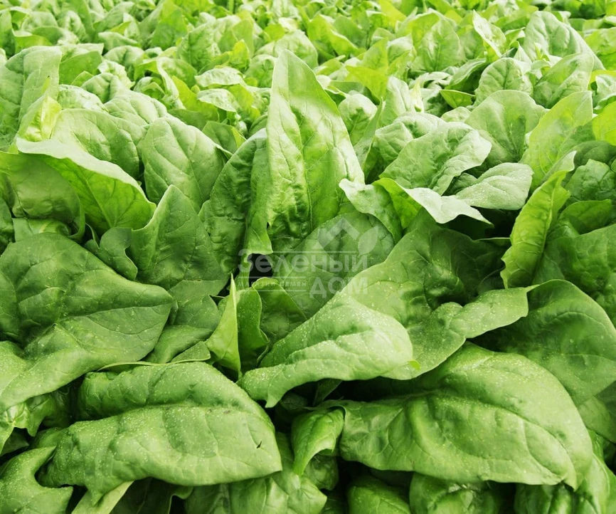 ПВ 1026 F1 / PV 1026 F1 фото 1