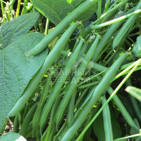 Крокет / Kroket фото 2