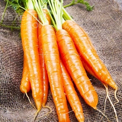 Осенняя королева / Autumn Queen  фото 1