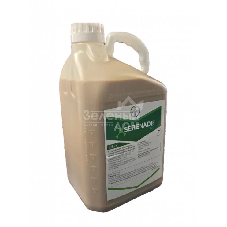 Серенада АСО / Serenade ASO фото 1