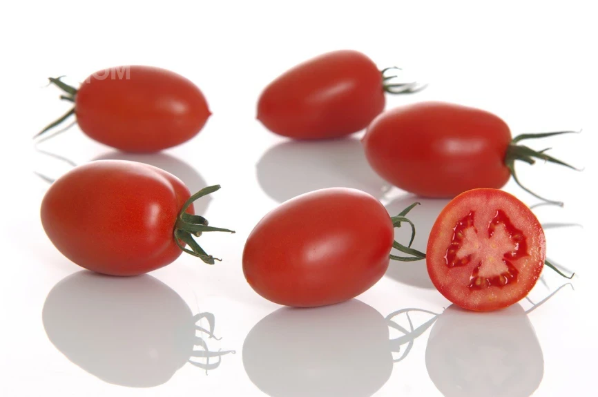 Океано F1 / Okeano F1 фото 1