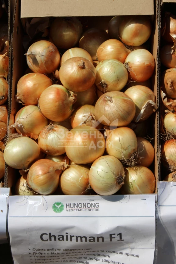 Чаирмэн F1 / Chairman F1 фото 3