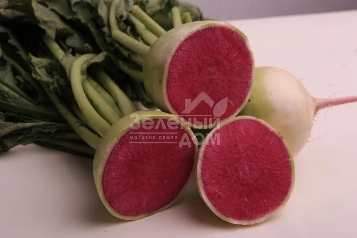 Пинки Мерикол / Pinky Merikol фото 1