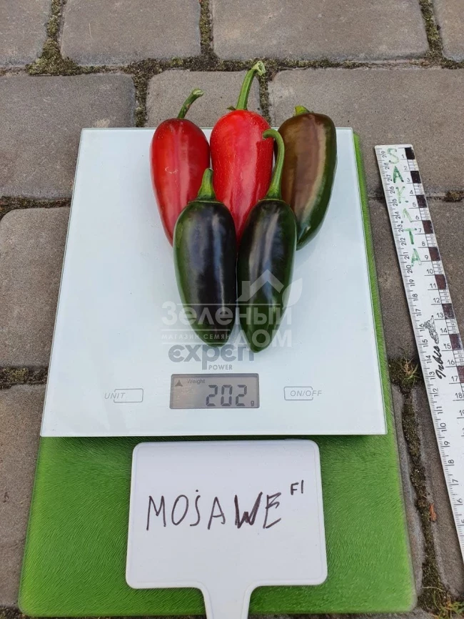 Моджаве F1 / Modzhave F1 фото 2