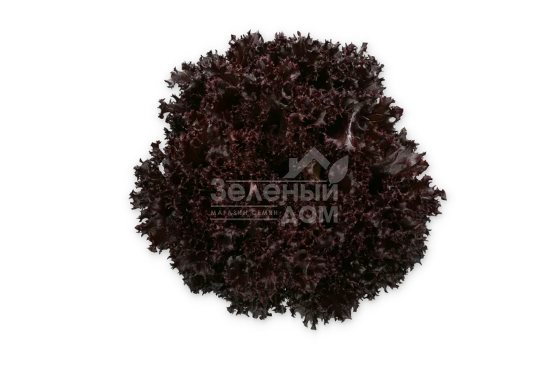 Скамандер / Scamander фото 4