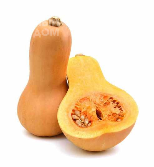 Віоліна / Violina фото 2