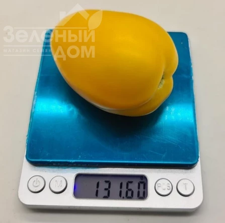 КС 221 F1 / KS 221 F1 фото 2