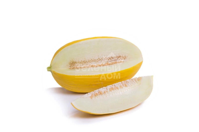 Азилал F1 / Azilal F1  фото 3