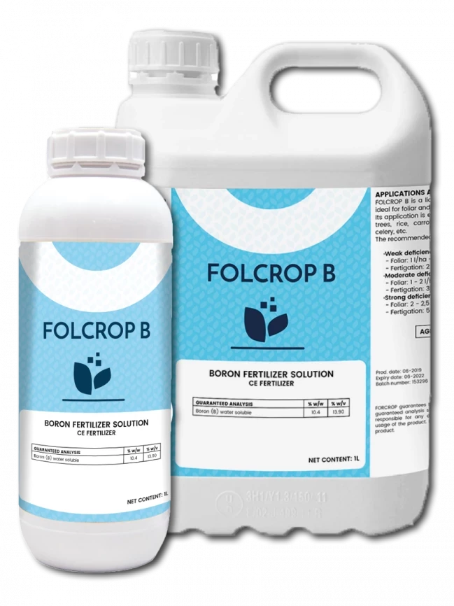 Фолькроп В / Folcrop B фото 1