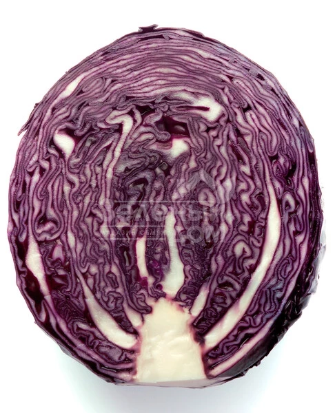 Футурима F1 / Futurima F1, 125-140 дней фото 2