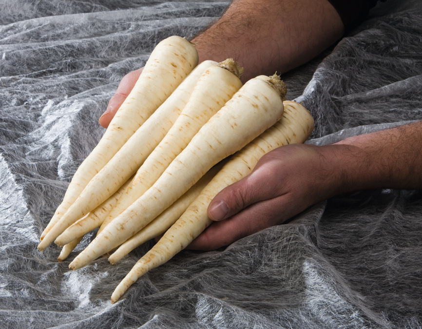 Ігл / Eagl,135 днів фото 2