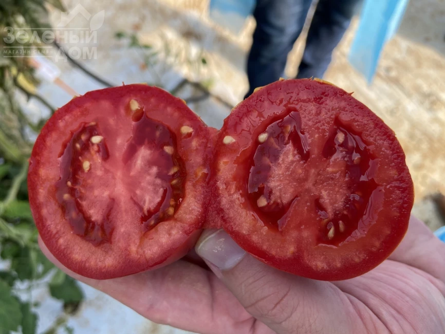 Бильбао F1 / Bilbao F1 фото 4