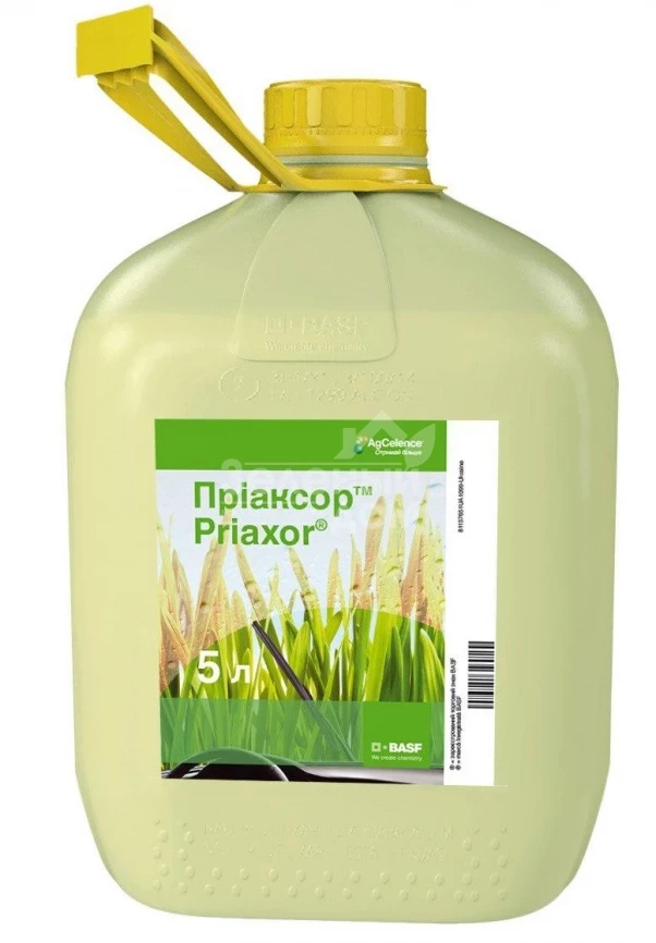 Приаксор / Priaxor, КЕ фото 1