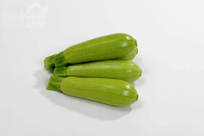 Хиба F1 / Hiba F1, 32-35 дней фото 1