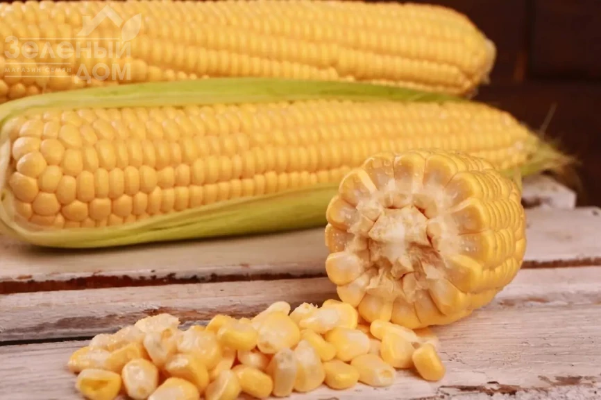 Канзас F1 / Kanzas F1, 65-68 дней фото 1