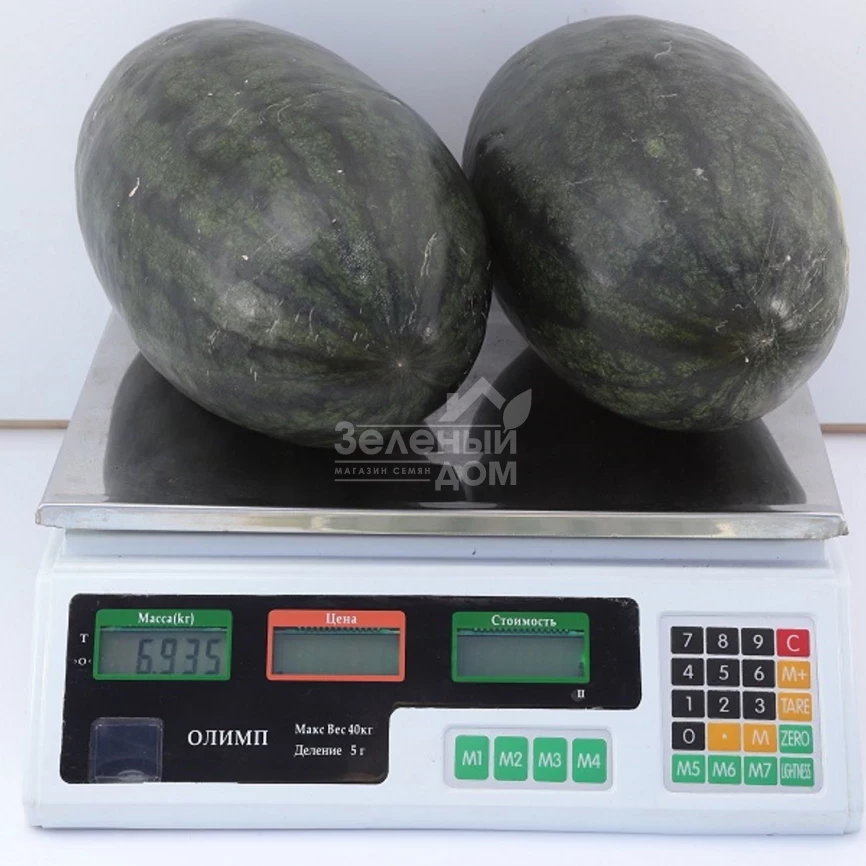 КС 250 F1 / KS 250 F1,60-65 дней фото 3