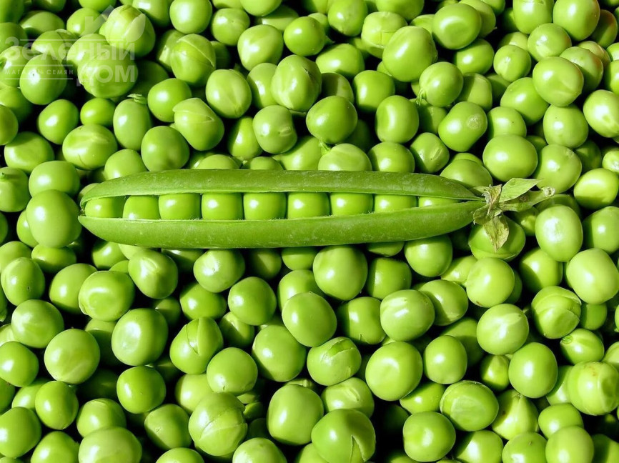 Авола / Avola фото 1