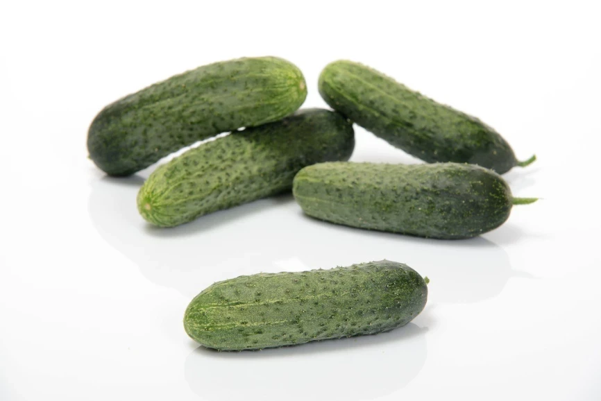 Теслин F1 / Teslin F1, 30-35 дней фото 1