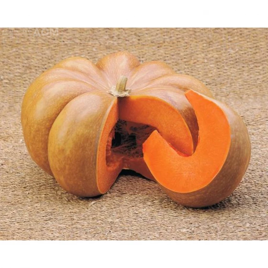 Мускат де Прованс / Muskat de Provans  фото 1