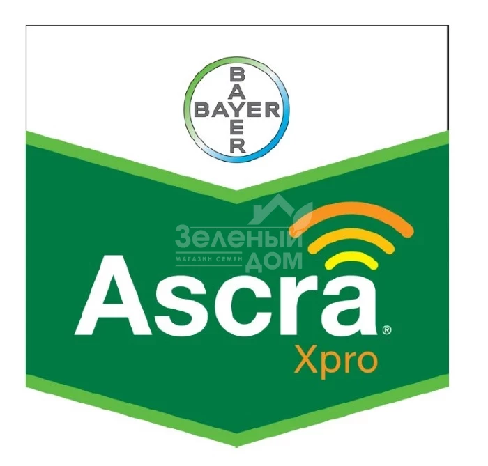 Аскра Хпро / Asсra Xpro фото 1