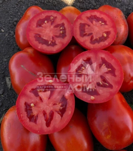 9985 F1 / 9985 F1, 120 дней фото 1