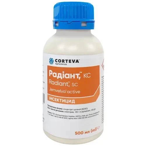 Радиант КС / Radiant KS фото 1