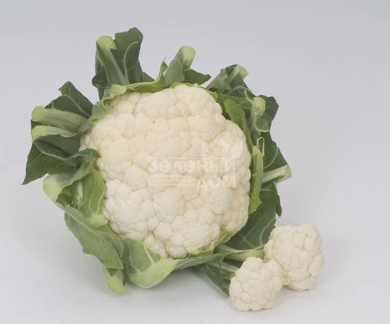 Борис F1 / Boris F1,80-85 дней фото 1