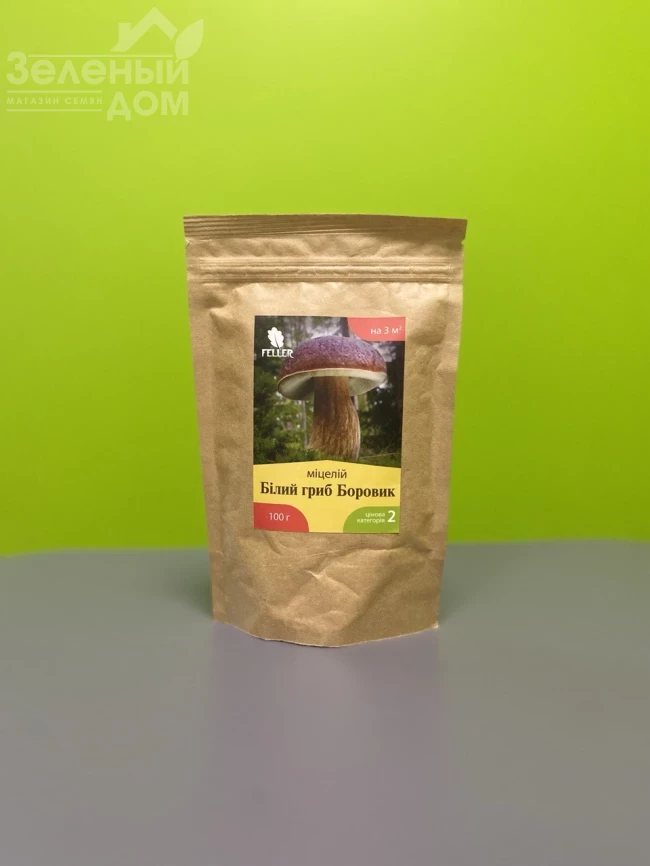 Белый гриб Боровик фото 1