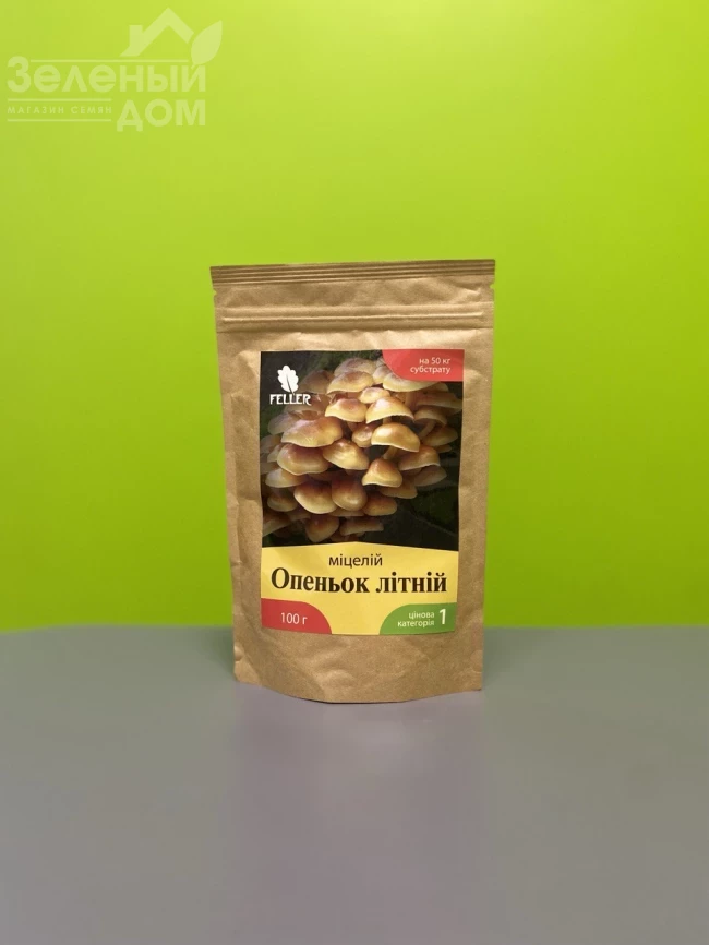 Опёнок летний фото 1