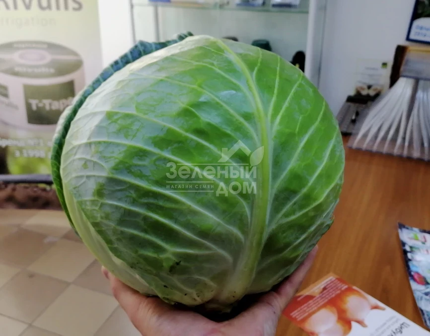 ЖС 83 F1 / JS 83 F1 фото 1