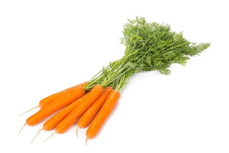 Имер F1 / Ymer F1, 120 дней фото 3