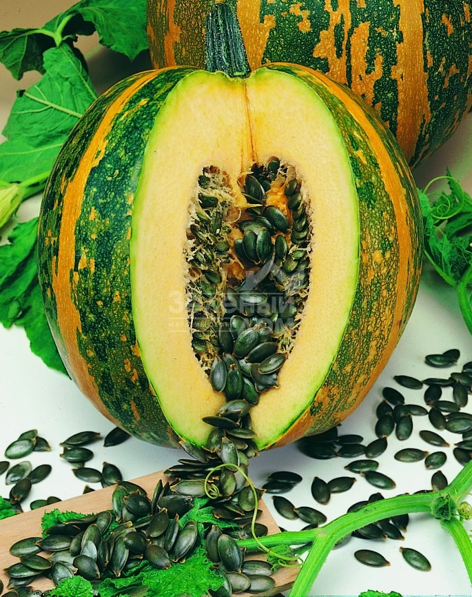 Ольга / Olga фото 1