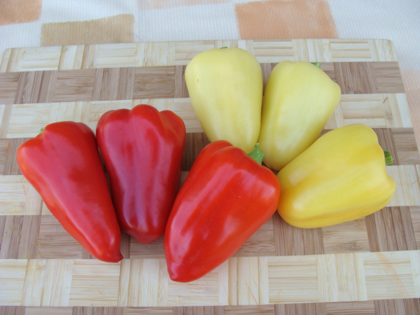 Злата / Zlata фото 1