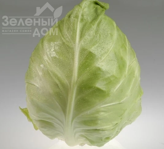 Кейп Хорн F1 / Keyp Horn F1, 55-65 дней фото 1